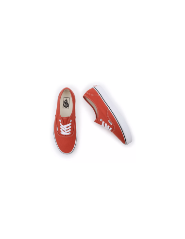 Vans Authentic Shoes Color Theory...