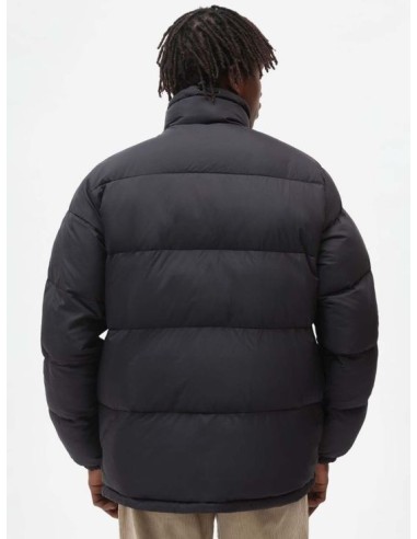 Dickies Waldenburg Jacket - DK0A4XP2BLK