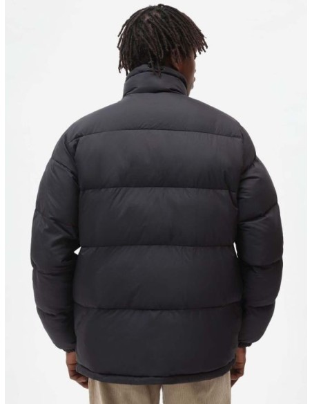 Dickies Waldenburg Jacket - DK0A4XP2BLK