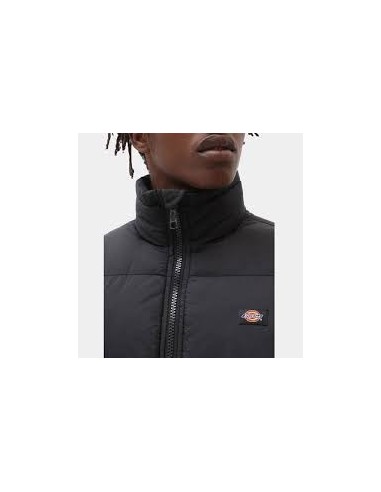 Dickies Waldenburg Jacket - DK0A4XP2BLK