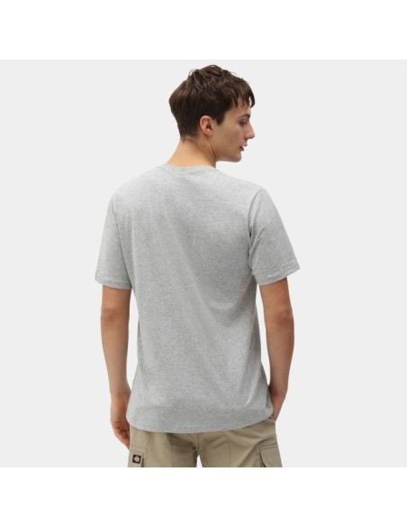 Dickies T-Shirt Mapleton-DK0A4XDBGREYMELLA