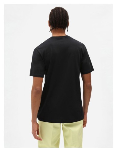Dickies Mapleton T-Shirt -DK0A4XDBBLK
