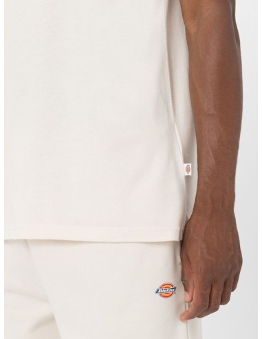 DICKIES SS MAPLETON TEE WHITECAP GRAY...