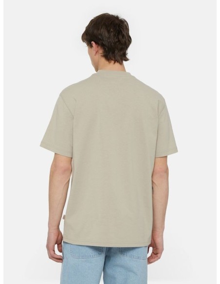 DICKIES SUMMERDALE SS TEE SANDSTONE - DK0A4YAISS01
