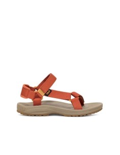 TEVA Winsted W - 1017424-PCLY