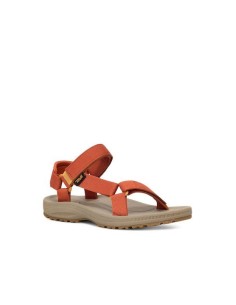 TEVA Winsted W - 1017424-PCLY 2