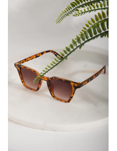 24COLOURS Sunglasse Brown -18788 2