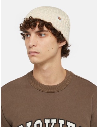 DICKIES  LOCKWOOD BEANIE WHITECAP...
