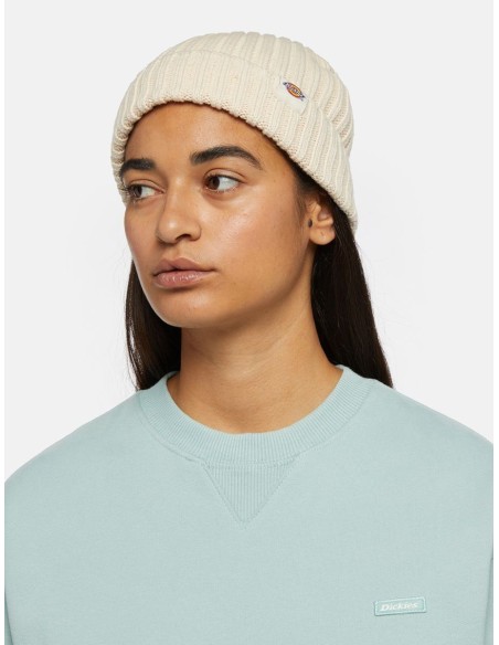 DICKIES  LOCKWOOD BEANIE WHITECAP GRAY - DK0A4Z2OF901