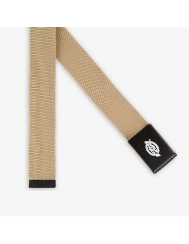 DICKIES  BELT ORCUTT KHAKI -...