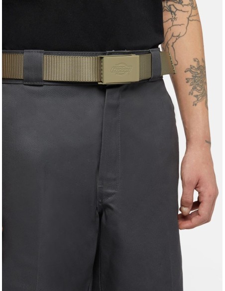 DICKIES  DEER LODGE BELT IMPERIAL GREEN - DK0A4Z3K0IP1