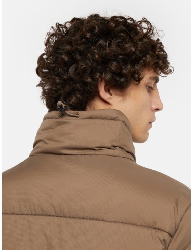 dickies  WALDENBURG JACKET MUSHROOM...