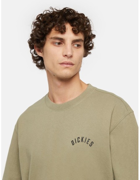 DICKIES PANTHER TEE SS IMPERIAL GREEN -DK0A4Z4I0IP1