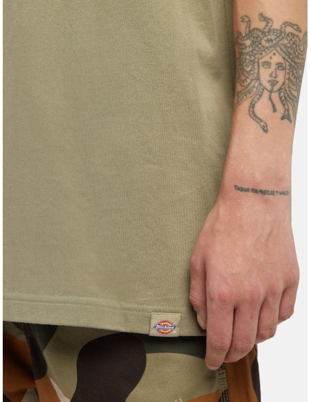 DICKIES PANTHER TEE SS IMPERIAL GREEN -DK0A4Z4I0IP1
