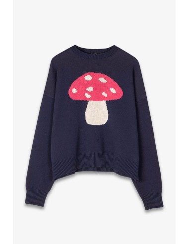 Mushroom Navy Sweater-  AP003-01-1910
