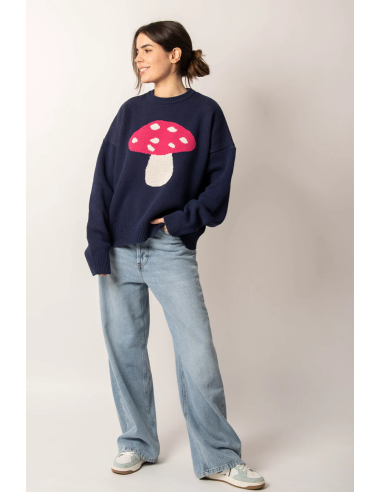 Mushroom Navy Sweater-  AP003-01-1910