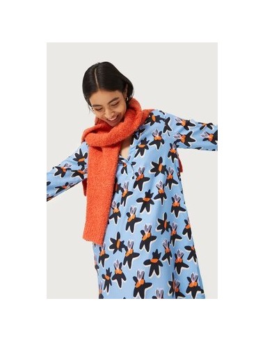 Compania Fantastica Short Calatea...