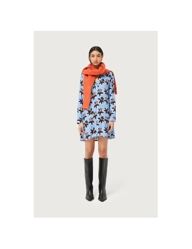 Compania Fantastica Short Calatea...