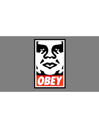 OBEY COLLEGIATE  RAEGAN T-SHIRT...