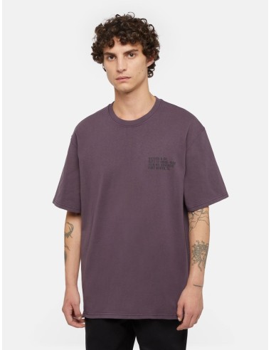 DICKIES STAMP TEE SS PLUM PERFECT...
