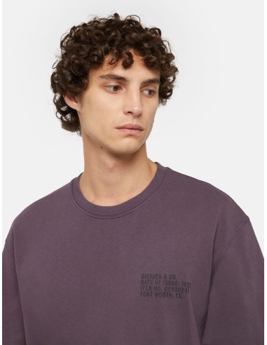 DICKIES STAMP TEE SS PLUM PERFECT...