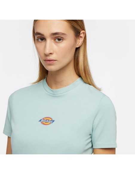 dickies  MAPLE VALLEY TEE BLUE SURF - DK0A4XPOJ591