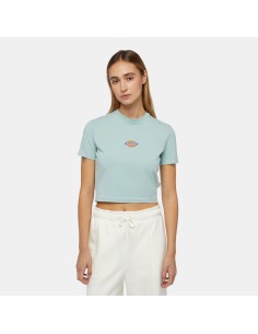 dickies  MAPLE VALLEY TEE BLUE SURF - DK0A4XPOJ591 2