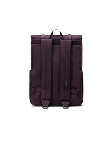 Herschel Survey Purple - 11404-06223