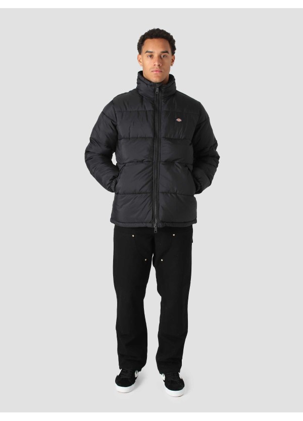 Dickies Jacket Waldenburg - DK0A4XP2BLK