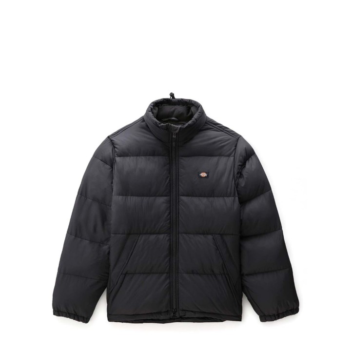 Dickies Jacket Waldenburg - DK0A4XP2BLK