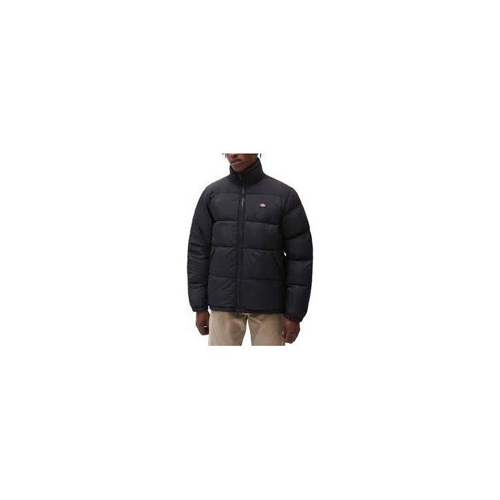 Dickies Jacket Waldenburg - DK0A4XP2BLK