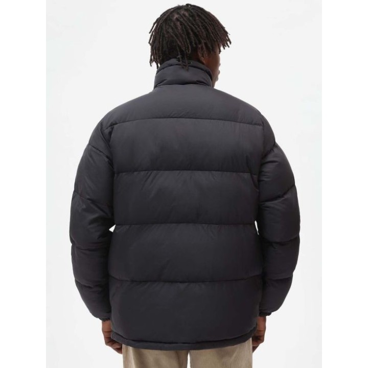 Dickies Jacket Waldenburg - DK0A4XP2BLK