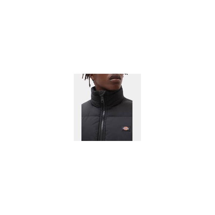 Dickies Jacket Waldenburg - DK0A4XP2BLK