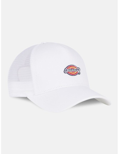 DICKIES Hanston Trucker Cap - DK0A4YV3C581