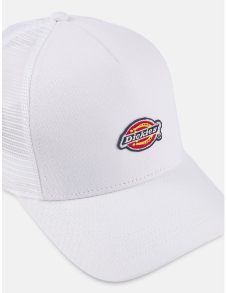 DICKIES Hanston Trucker Cap - DK0A4YV3C581
