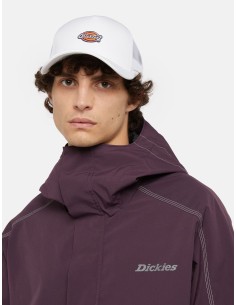 DICKIES Hanston Trucker Cap - DK0A4YV3C581