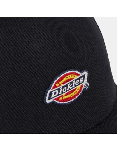 DICKIES Hanston Trucker Cap -...