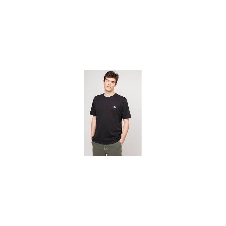 Dickies T-Shirt Mapleton -DK0A4XDBBLK