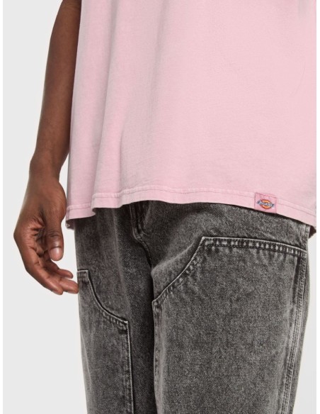 DICKIES PLENTYWOOD TEE SSS LILAS -DK0A866BK391