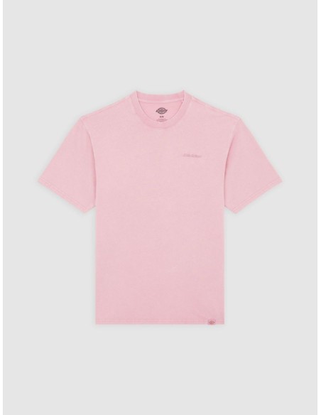 DICKIES PLENTYWOOD TEE SSS LILAS -DK0A866BK391