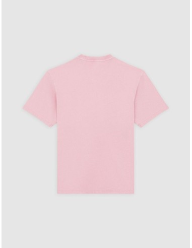 DICKIES PLENTYWOOD TEE SSS LILAS...