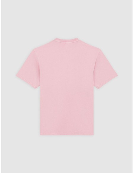 DICKIES PLENTYWOOD TEE SSS LILAS -DK0A866BK391