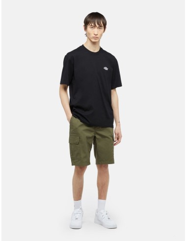 DICKIES MILLERVILLE SHORT MILITARY GR...