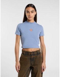 DICKIES MAPLE VALLEY TEE COUNTRY BLUE - DK0A4XPOK371