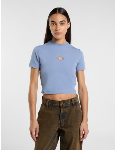 DICKIES MAPLE VALLEY TEE COUNTRY BLUE...