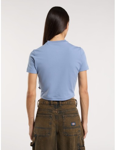 DICKIES MAPLE VALLEY TEE COUNTRY BLUE...