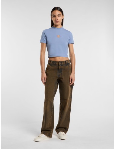 DICKIES MAPLE VALLEY TEE COUNTRY BLUE...