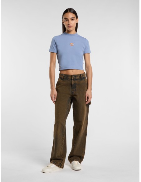 DICKIES MAPLE VALLEY TEE COUNTRY BLUE - DK0A4XPOK371