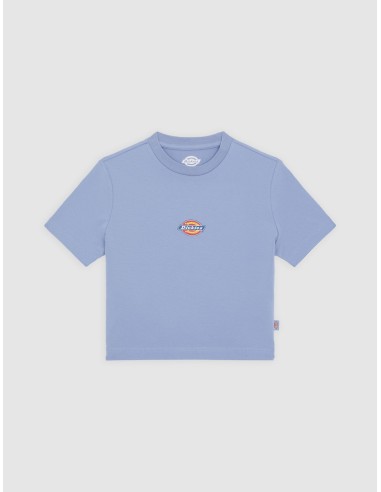 DICKIES MAPLE VALLEY TEE COUNTRY BLUE...