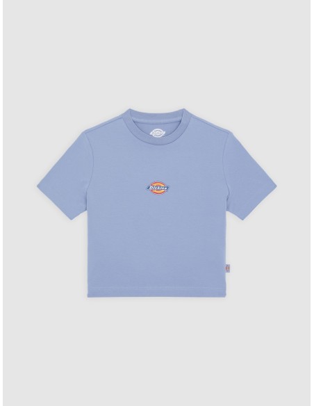 DICKIES MAPLE VALLEY TEE COUNTRY BLUE - DK0A4XPOK371